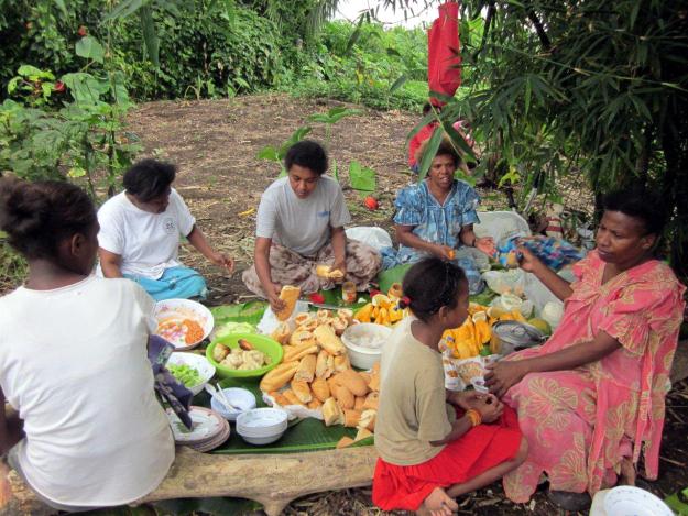 Vanuatu building project