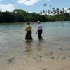 Homde and samoa 115 resize
