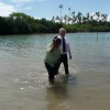 Homde and samoa 151 resize