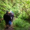 NZ Camp, January 2014