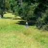 NZ Camp, January 2014