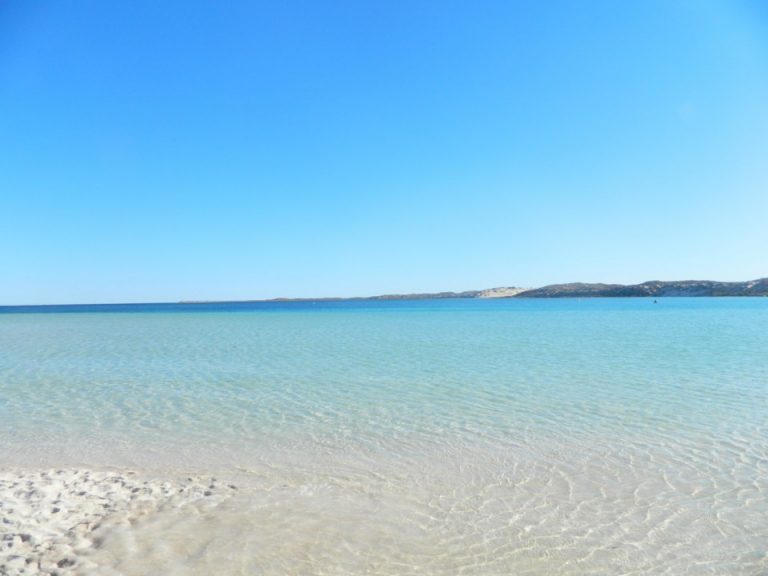 Ocean