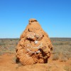 Termite mounds