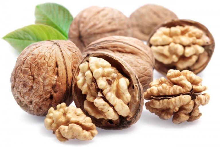 Walnut Small