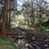 Abercrombie Caves NSW Youth Camp Oct 2014 (15)