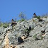 Abercrombie Caves NSW Youth Camp Oct 2014 (9)