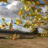 WP 20150405 16 27 12 Pro