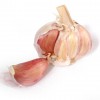 Garlic 97853