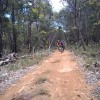 Bike riding WA Nov 2015