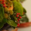 Guildford Cooking Class May 2016 (5)