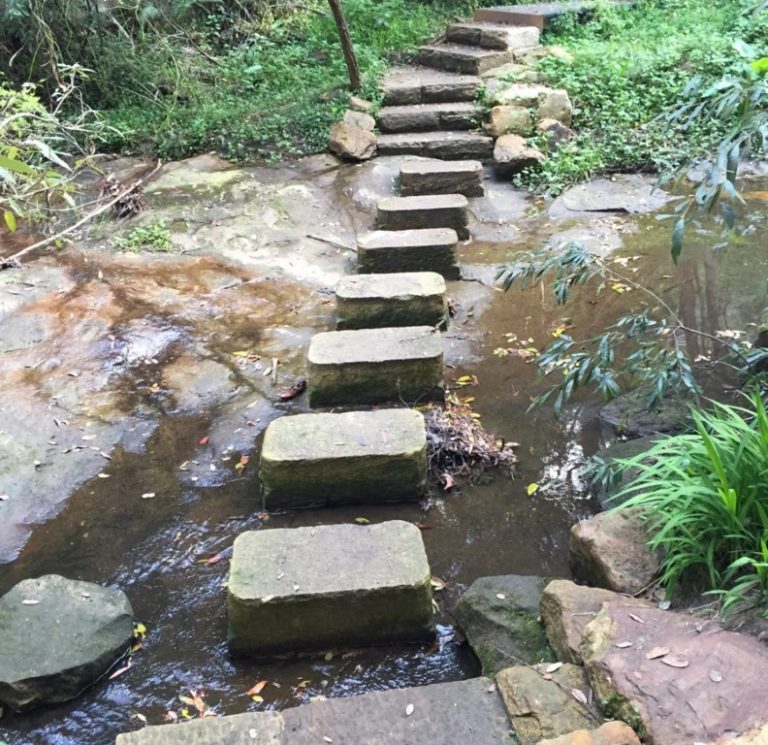 Image1