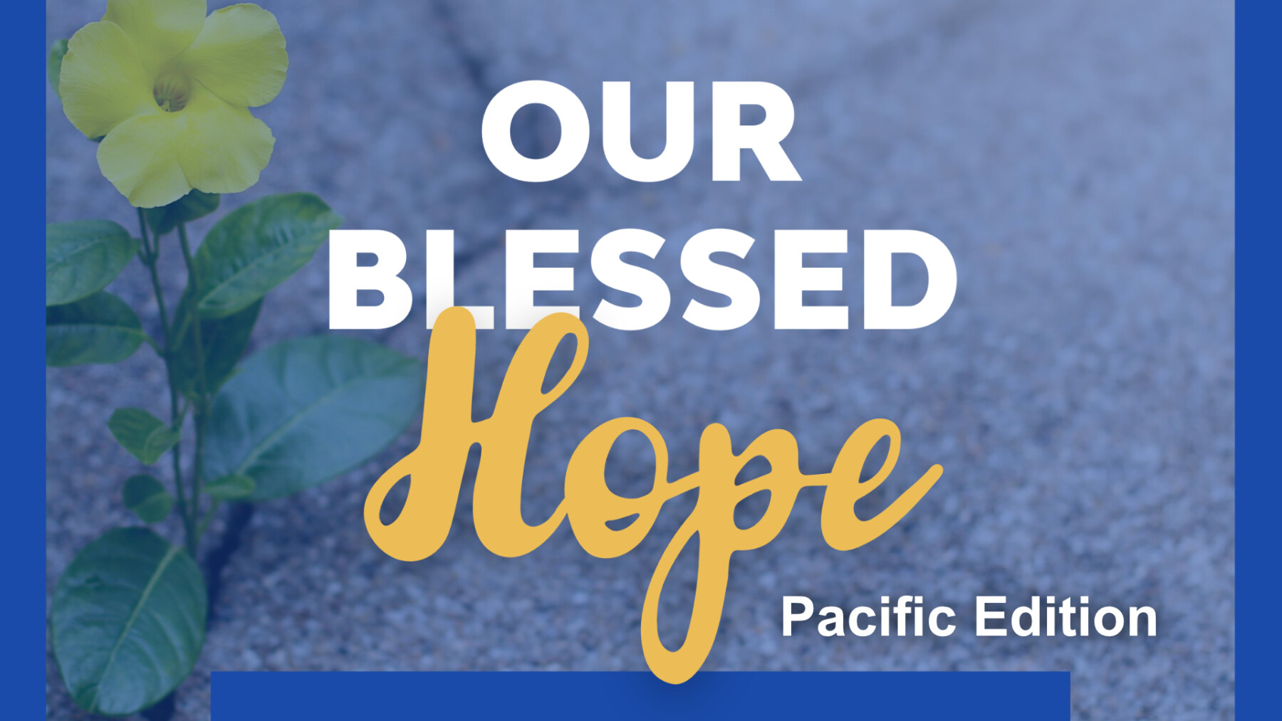 Online Week of Prayer