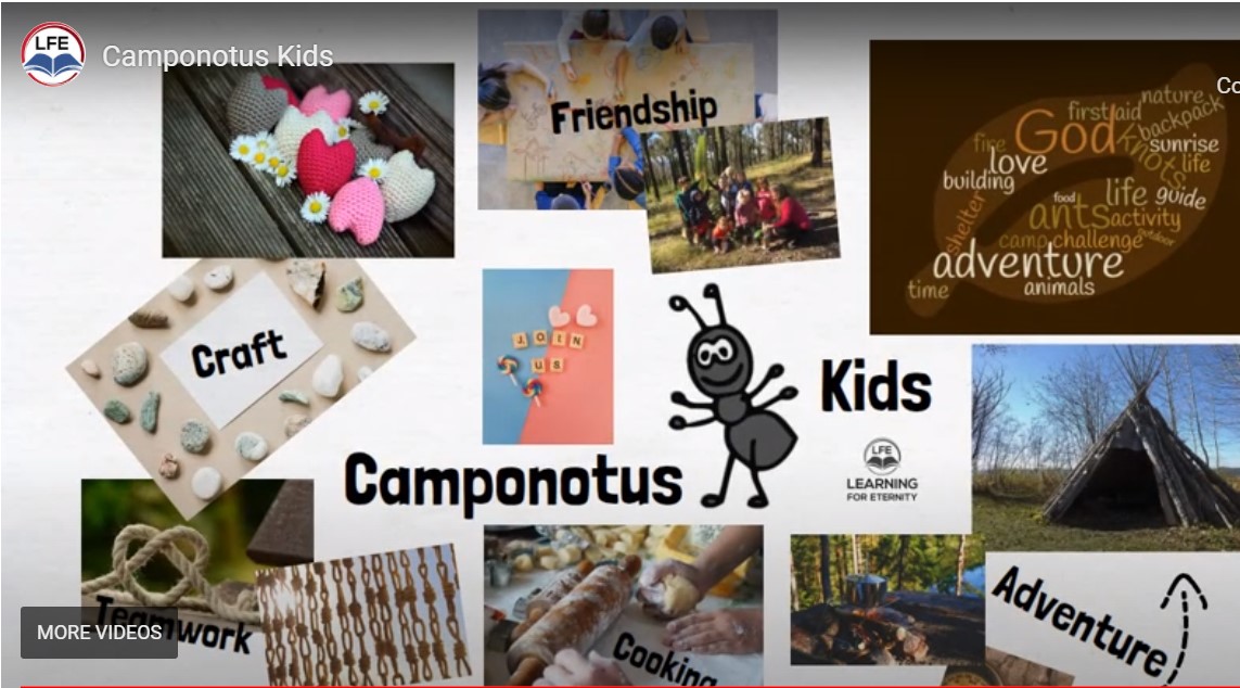 Camponotus Kids