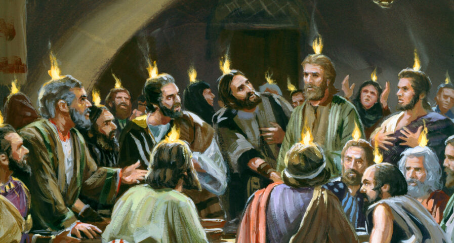 Pentecost crop
